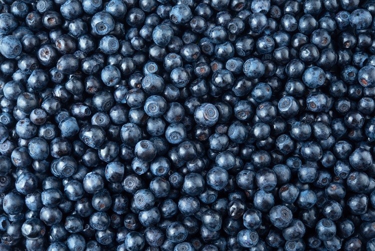 Blueberry. Blueberry background. Food background. Top view.